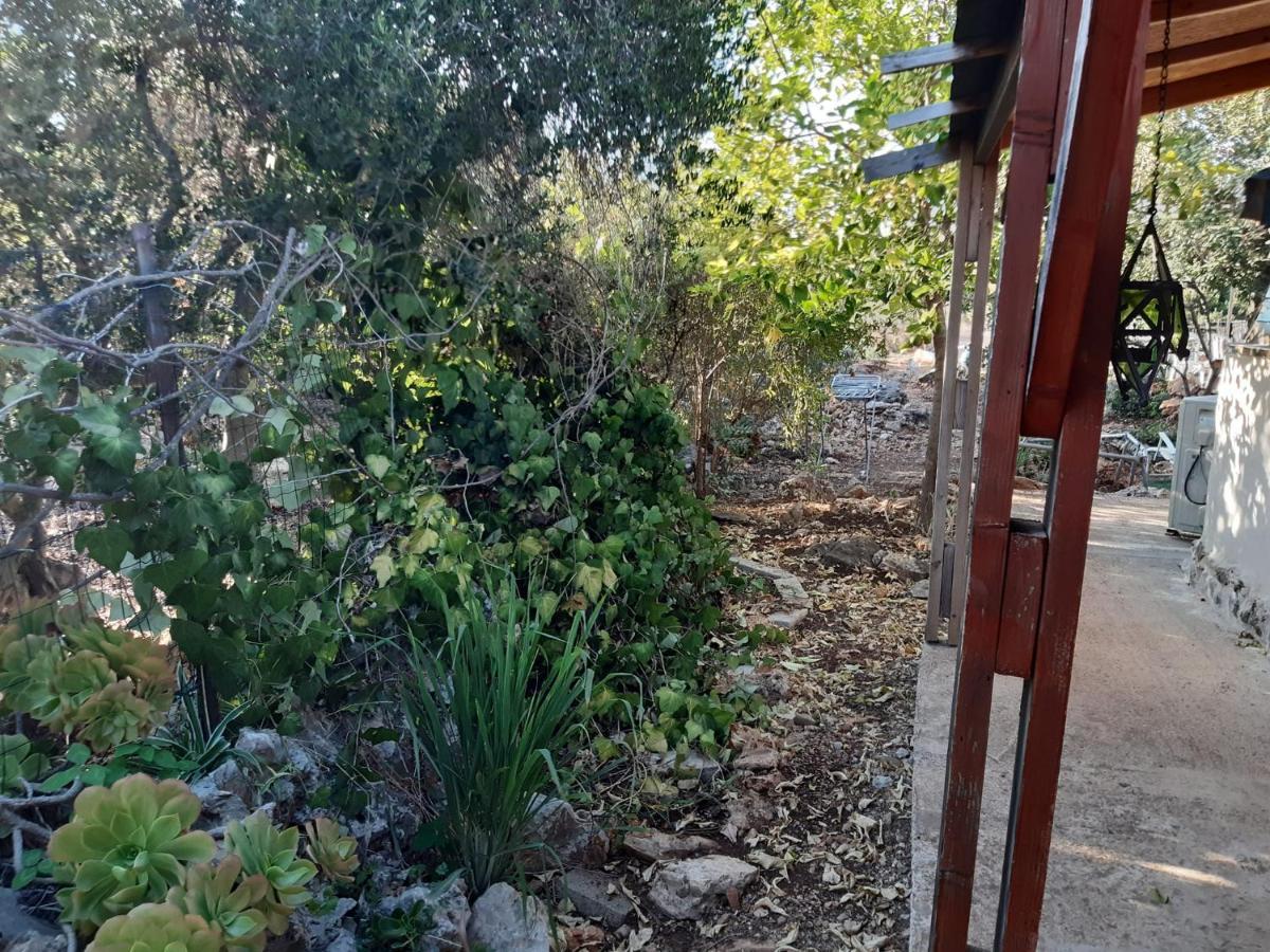 בקתת עץ בחורש במנות - דום גיאודזי - Wooden Cabin In Manot Екстериор снимка