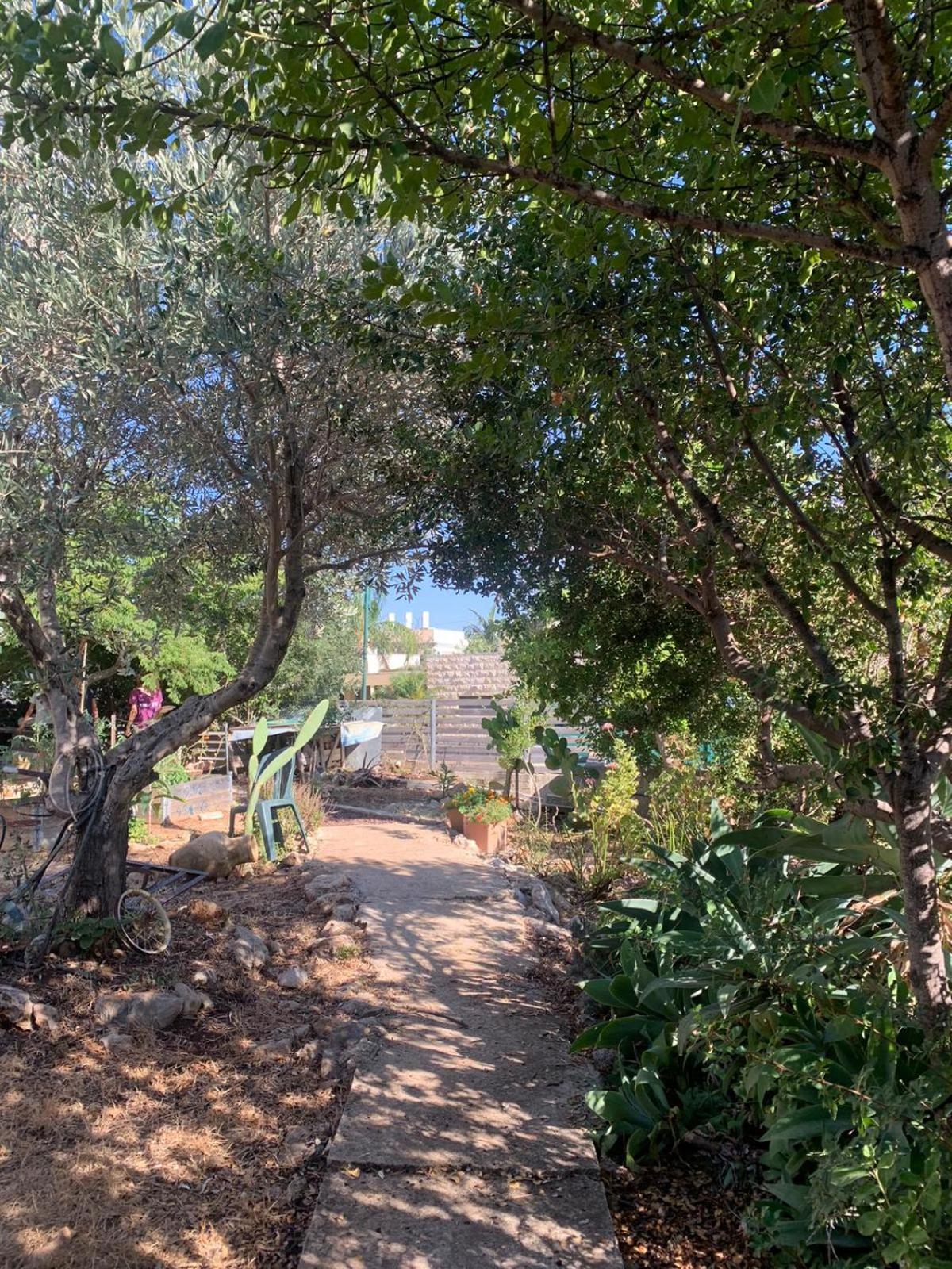 בקתת עץ בחורש במנות - דום גיאודזי - Wooden Cabin In Manot Екстериор снимка
